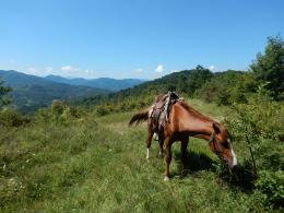 Horseback Riding Tours for Adventure Seekers unbridled fun in Bulgaria (35)