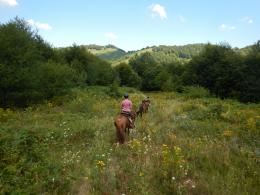 Horseback Riding Tours for Adventure Seekers unbridled fun in Bulgaria (34)