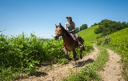 Horseback Riding Tours for Adventure Seekers unbridled fun in Bulgaria (41)