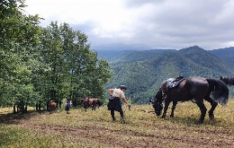 Horseback Riding Tours for Adventure Seekers unbridled fun in Bulgaria (44)