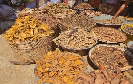 Ghana, Togo, Benin - Voodoo and Tribal Festivals (27)