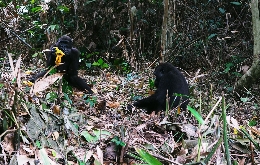 Heart of Darkness Expedition in DR Congo & Republic Congo (13)