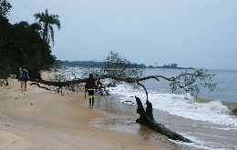 Heart of Darkness Expedition in DR Congo & Republic Congo (3)
