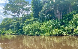 Heart of Darkness Expedition in DR Congo & Republic Congo (14)