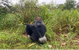 Heart of Darkness Expedition in DR Congo & Republic Congo (17)