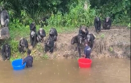 Heart of Darkness Expedition in DR Congo & Republic Congo (15)