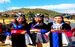  (20)